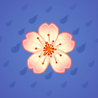 Sakura Flower #26648