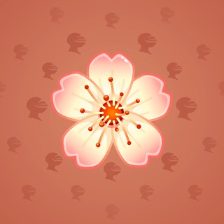 Peach Perfect