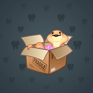 Snake Box #81281