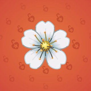 Sakura Flower #12610