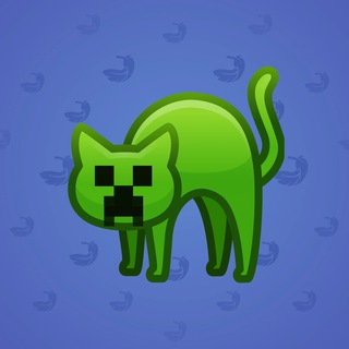 Scared Cat #17604