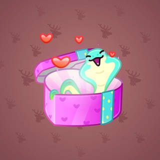 Snake Box #110999