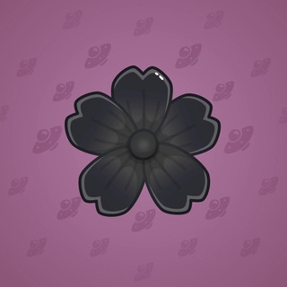 Sakura Flower #63504