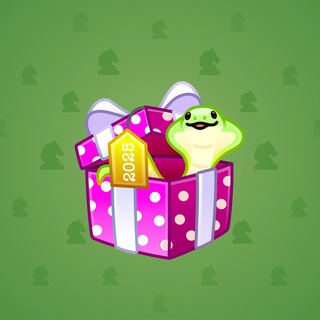 Snake Box #51060