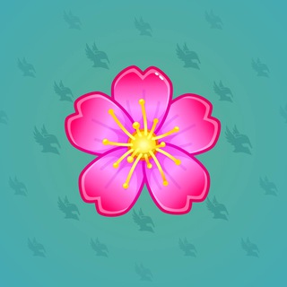 Sakura Flower #6645