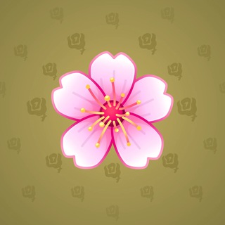 Sakura Flower #5046
