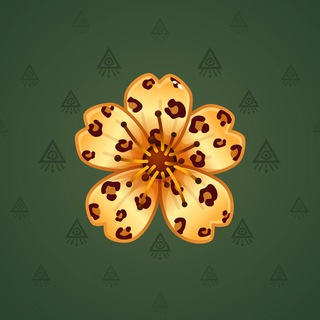 Sakura Flower #411