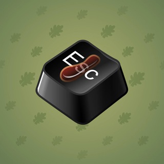 Input Key #17481
