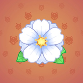 Sakura Flower #3841