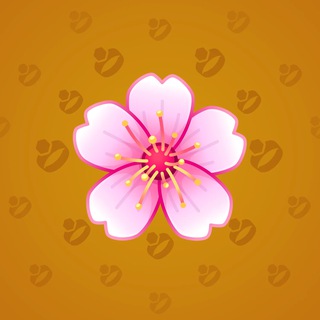 Sakura Flower #66298
