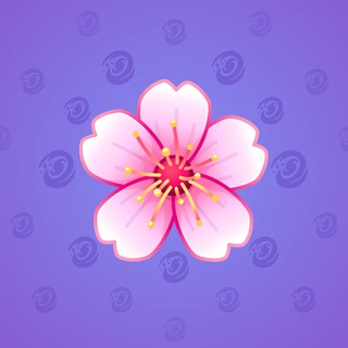Sakura Flower #46052