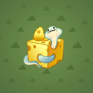 Snake Box #38005