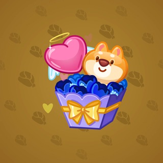 Joyful Bundle #43562