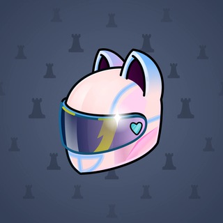 Neko Helmet #12278