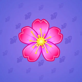 Sakura Flower #17702