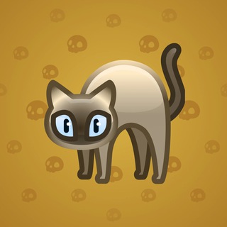 Scared Cat #10954