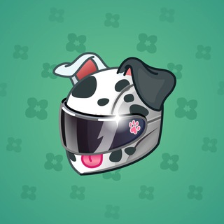 Neko Helmet #5887