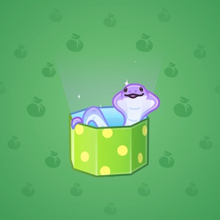 Snake Box #19785