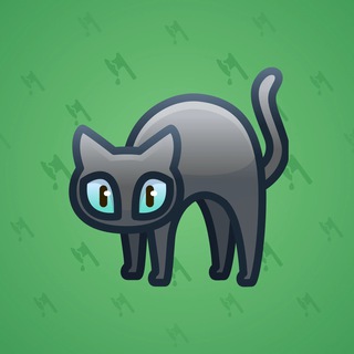 Scared Cat #11626