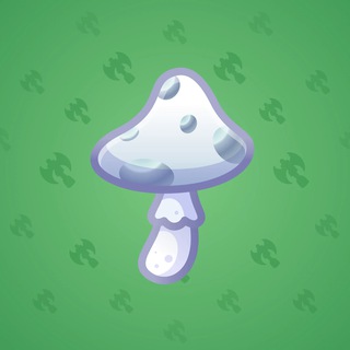Spy Agaric #2570