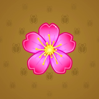 Sakura Flower #19822