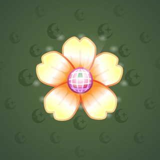 Sakura Flower #84808