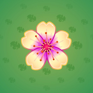 Sakura Flower #43045