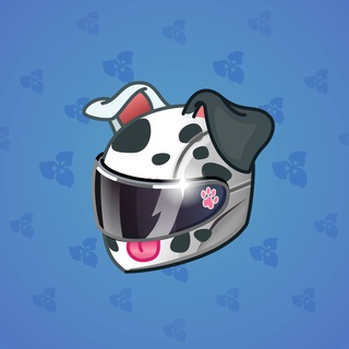 Neko Helmet #12362