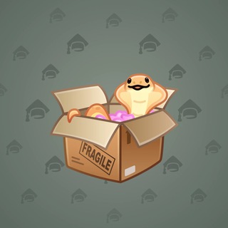 Snake Box #24625