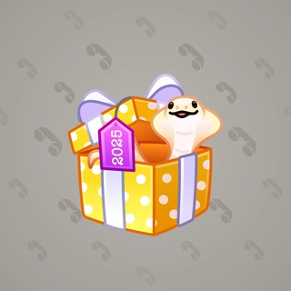 Snake Box #22500