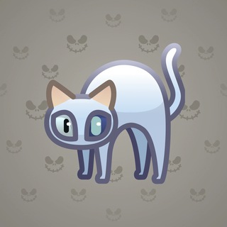Scared Cat #2882