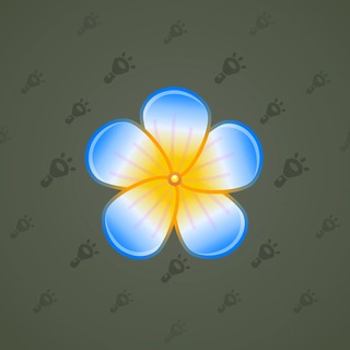 Sakura Flower #70376