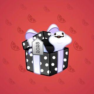 Snake Box #58952