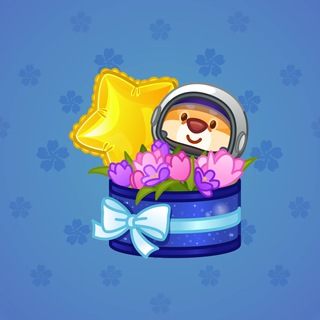 Joyful Bundle #50476