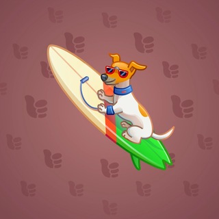 Surge Board #20514