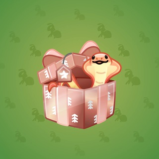 Snake Box #18793
