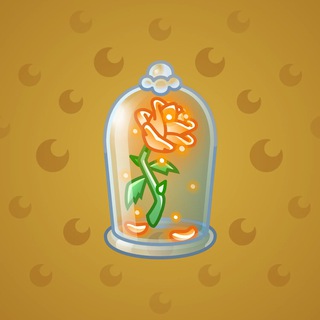 Eternal Rose #14504