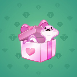 Snake Box #80025