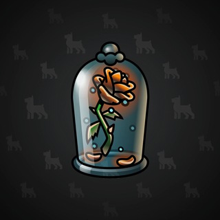 Eternal Rose #18299