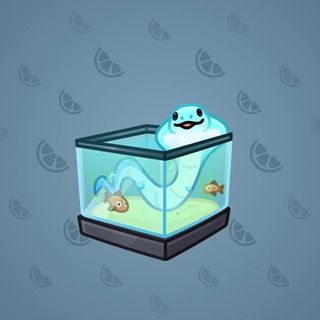 Snake Box #35468