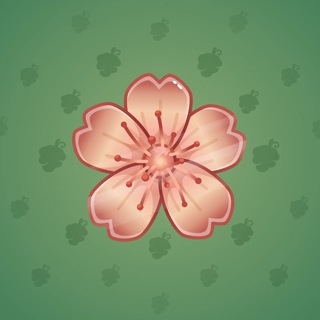 Sakura Flower #45206