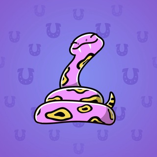 Pet Snake #72572