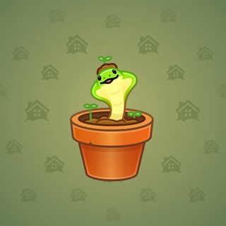 Snake Box #160398