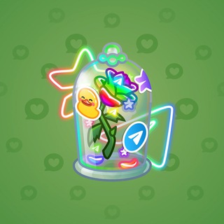 Vivid Prize
