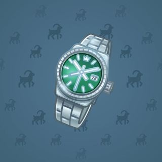 Swiss Watch #22899