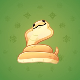 Pet Snake #48510