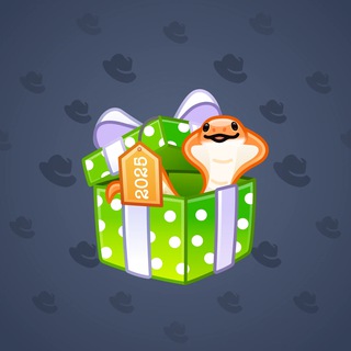 Snake Box #8141
