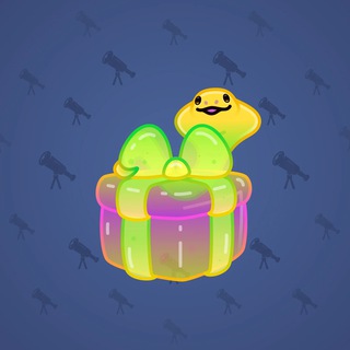 Snake Box #40080