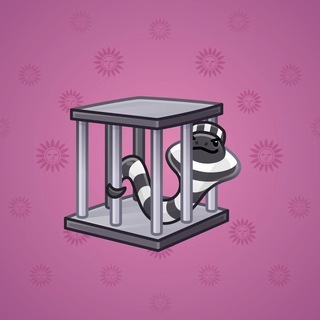 Snake Box #75805