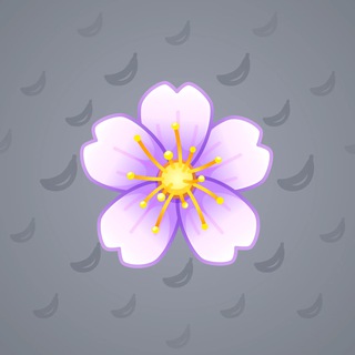 Sakura Flower #55428